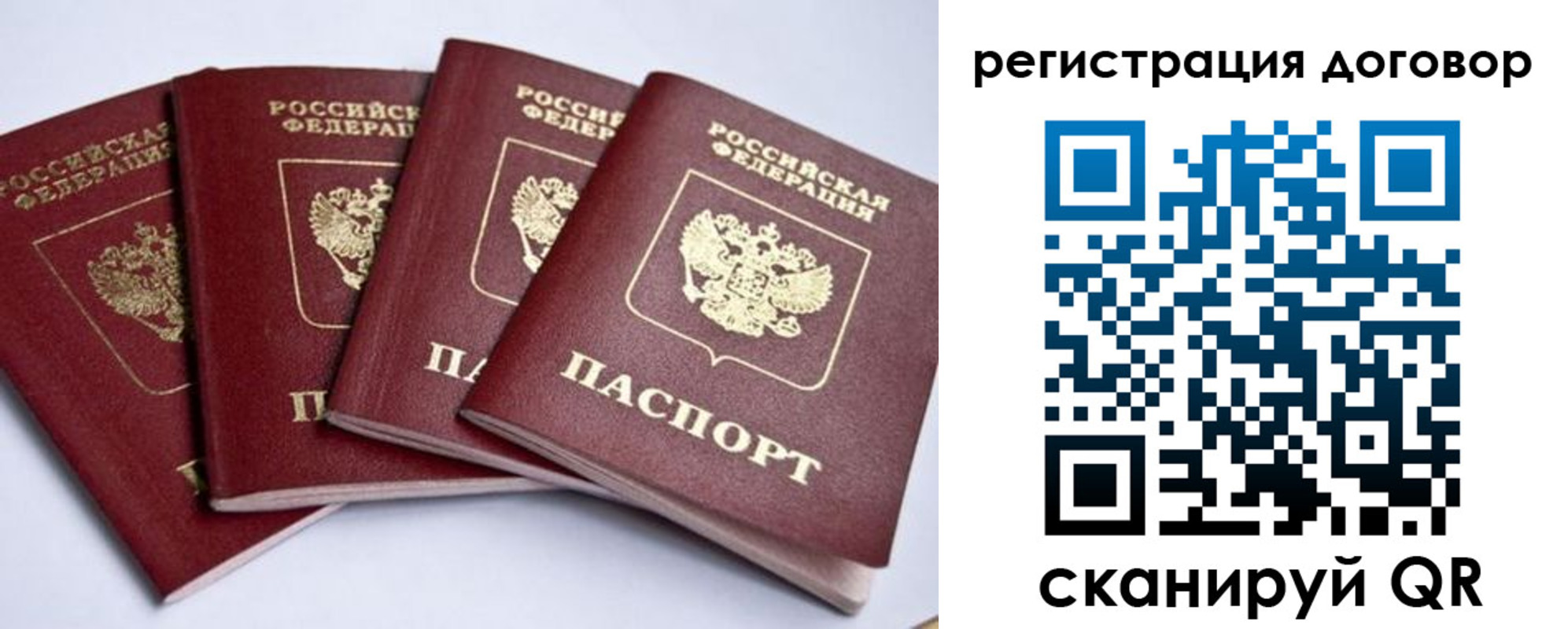 прописка поиск в Клинцах